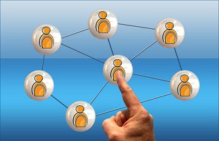 开云体育在线入口-英超球员社交媒体互动提升粉丝忠诚度研究，英超球队球迷