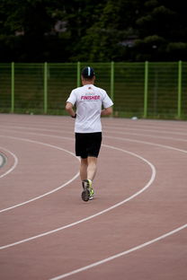 开云体育网站-高校运动训练效果科学评估研究，运动训练高校排名